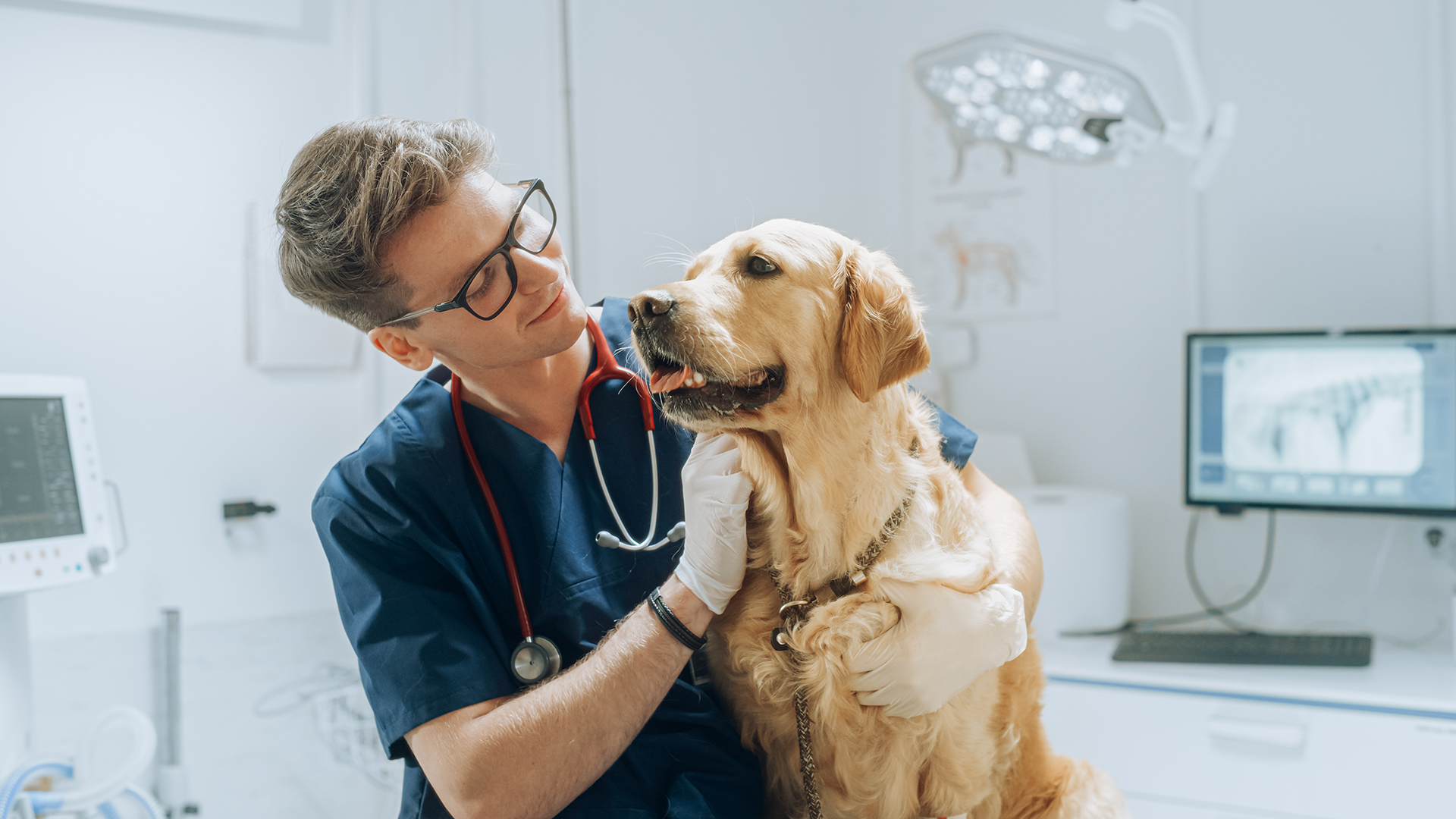 From Clinics to Communities – The Veterinarian’s Expanding Role in One Health